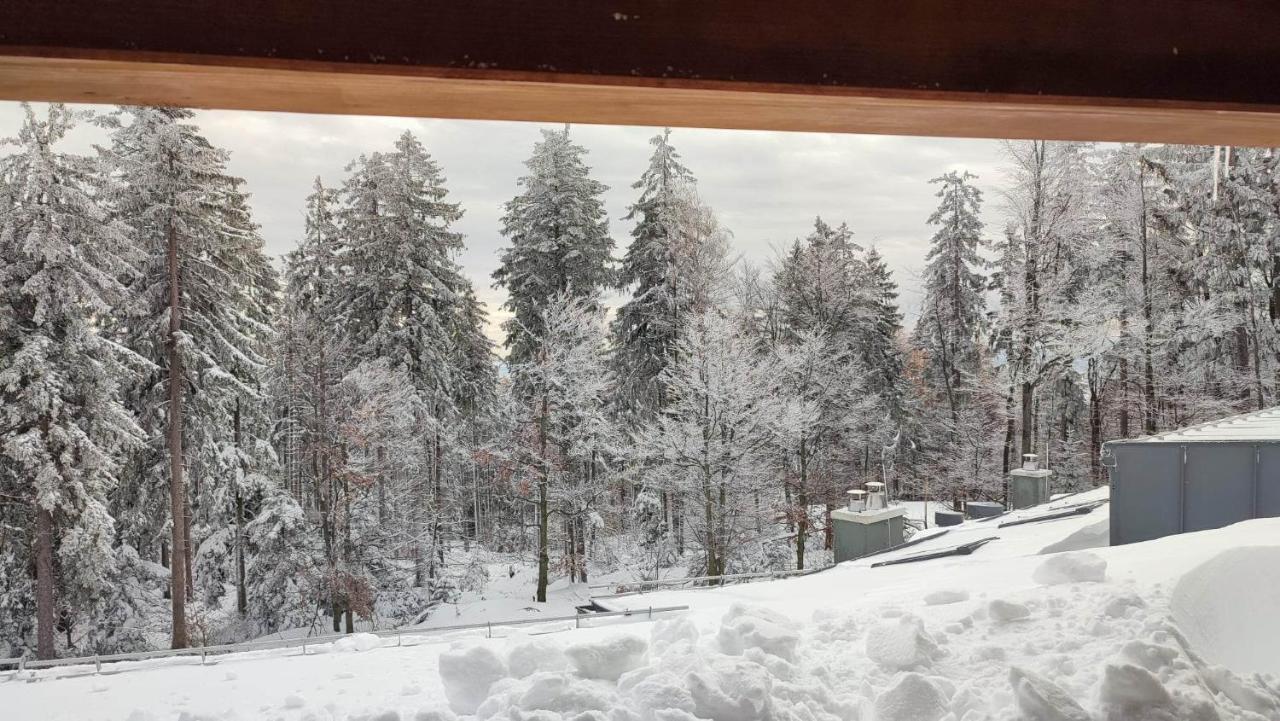 Pohorje Pearl Lux, 2-Floor Apartment Hočko Pohorje Eksteriør billede