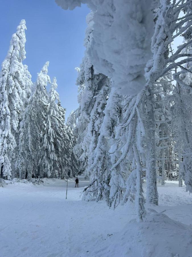 Pohorje Pearl Lux, 2-Floor Apartment Hočko Pohorje Eksteriør billede