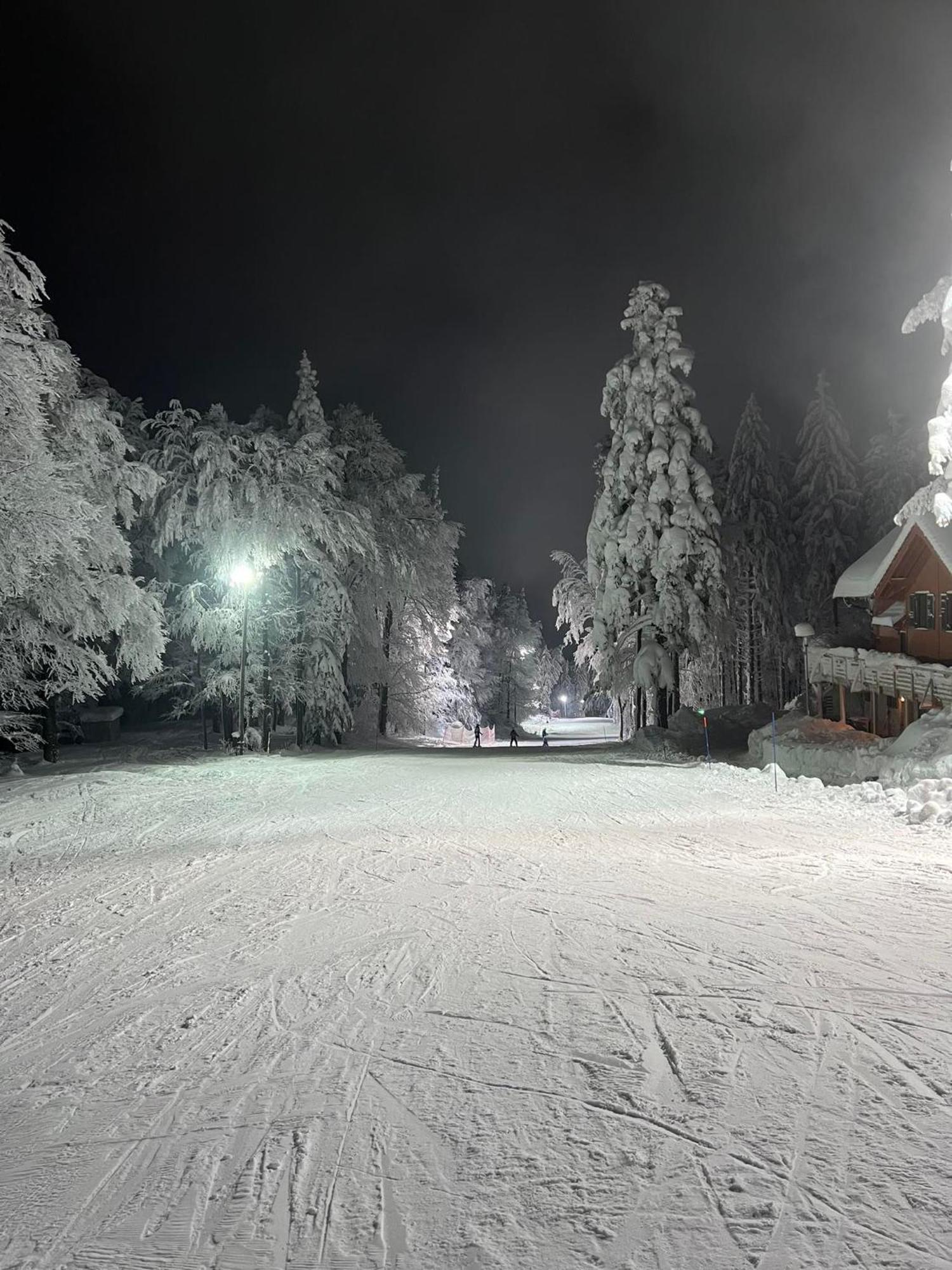 Pohorje Pearl Lux, 2-Floor Apartment Hočko Pohorje Eksteriør billede